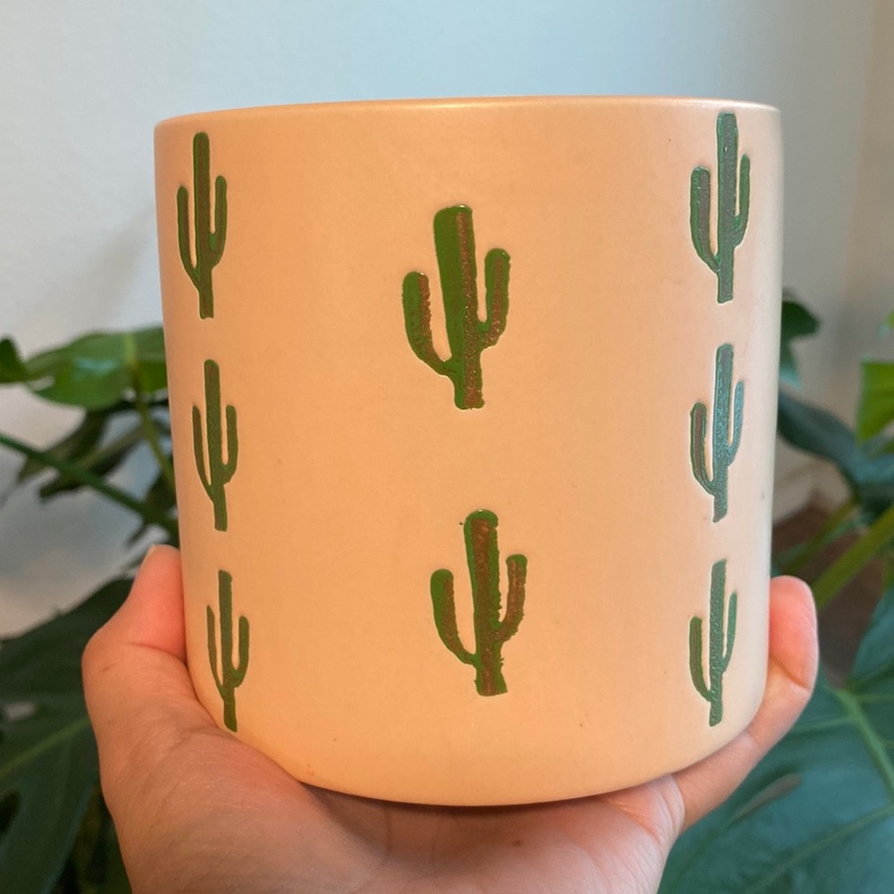 Cactus pot 6” plant planter